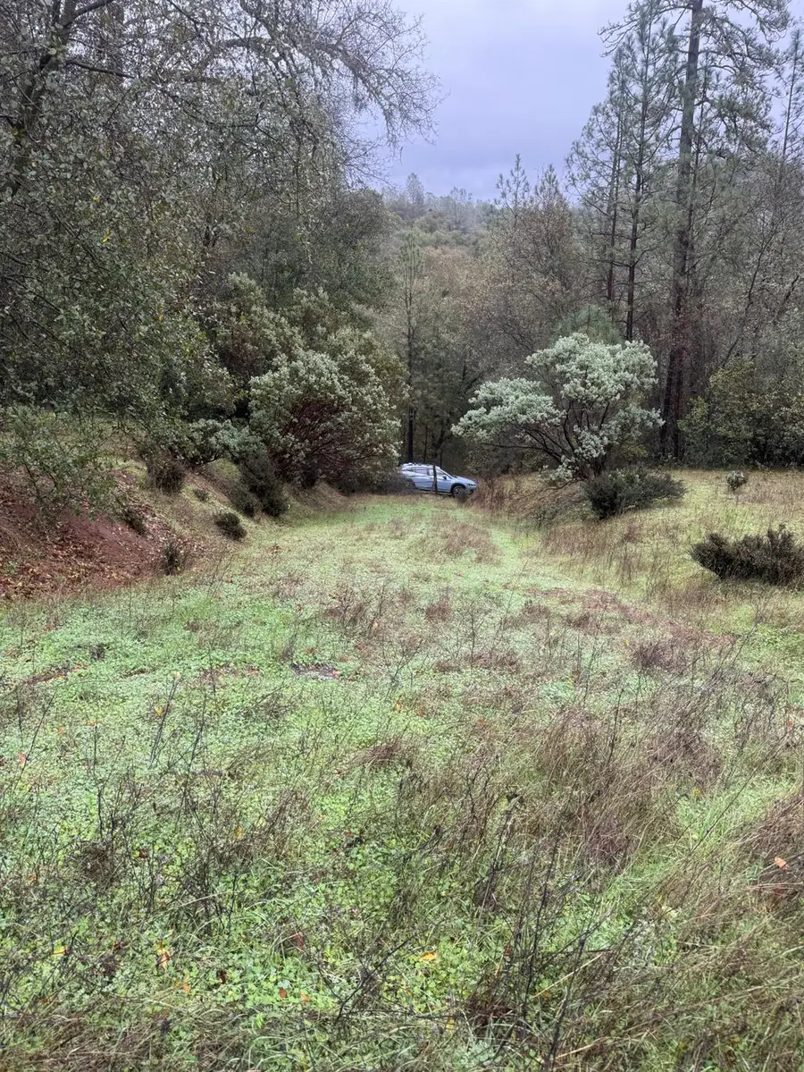 3200 Bird Haven Loop, Cool, CA 95614 - Image #2