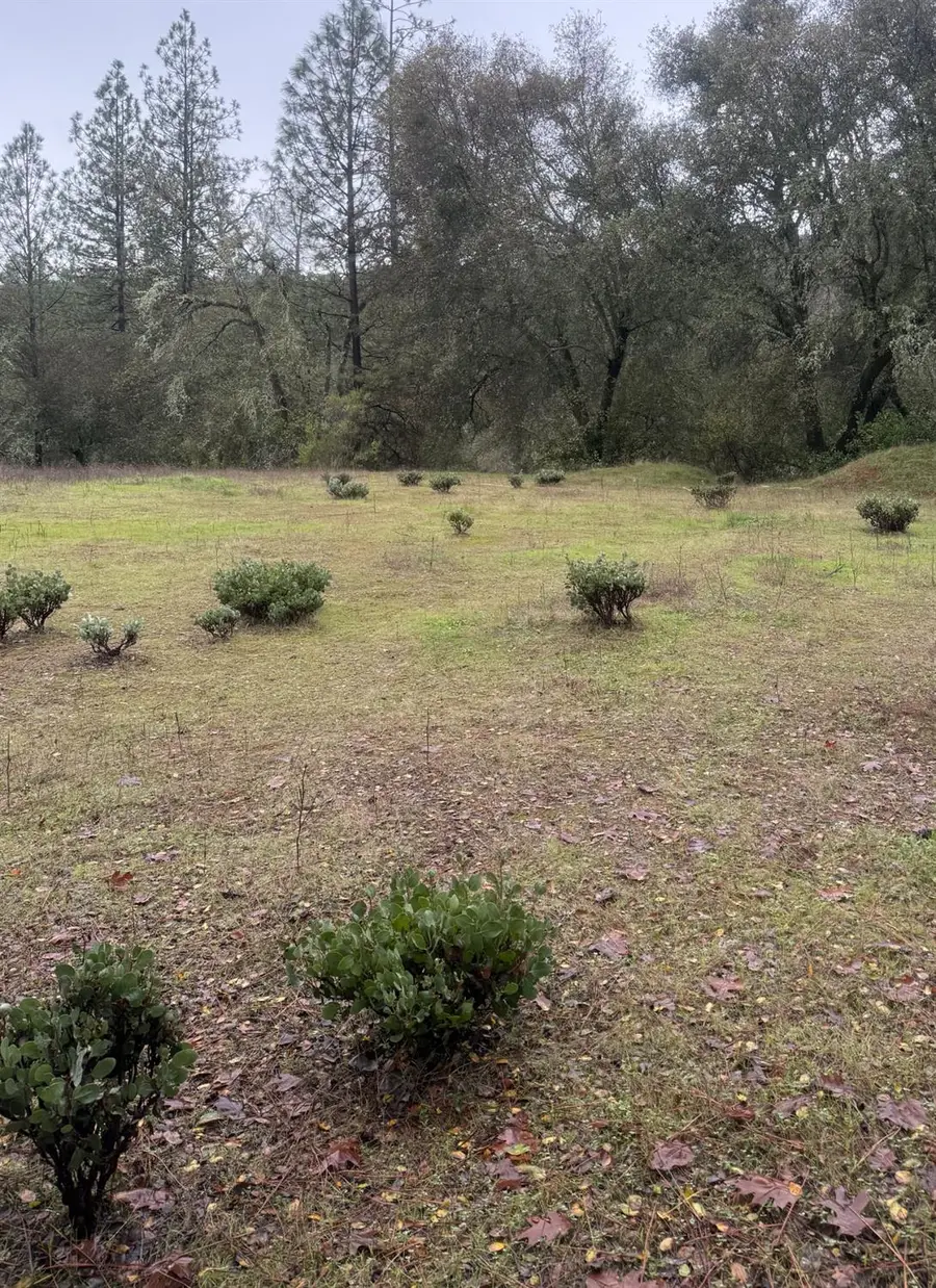 3200 Bird Haven Loop, Cool, CA 95614 - Image #3