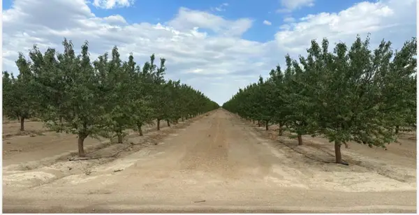 4783 W Manning Avenue, Fresno, CA 93706