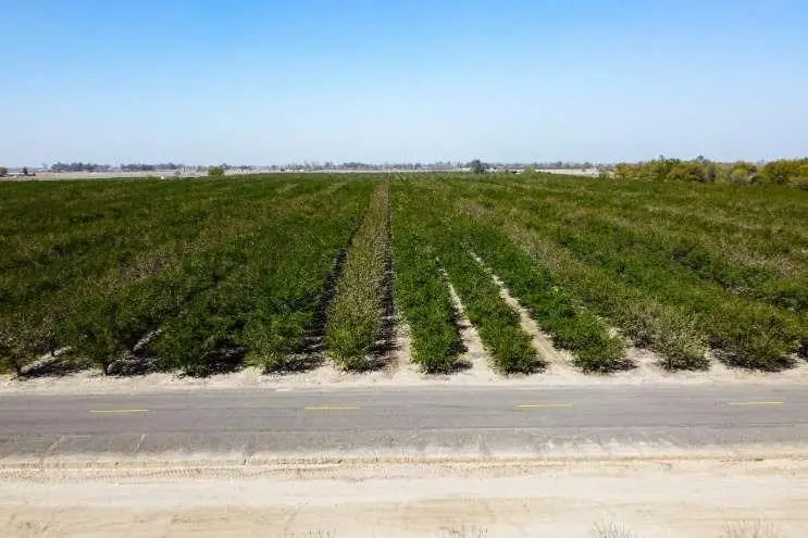 0 Lacey Boulevard, Lemoore, CA 93245 - Image #1