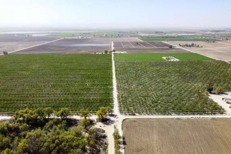 0 Lacey Boulevard, Lemoore, CA 93245 - Image #3