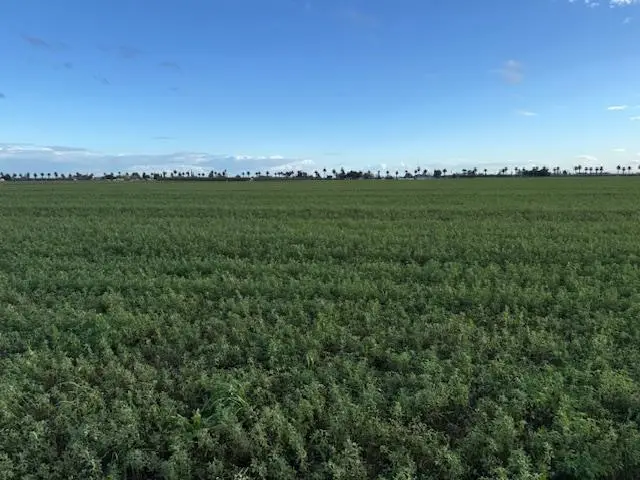 1430 Walnut Ave., Patterson, CA 95363 - Image #2