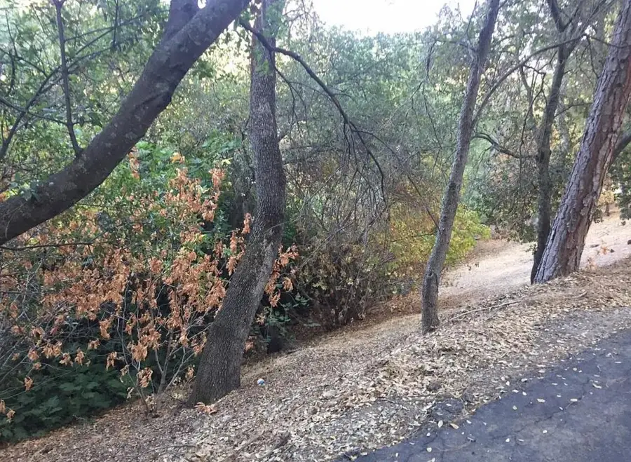 82 Poker Flat Road, Copperopolis, CA 95228 - Image #3