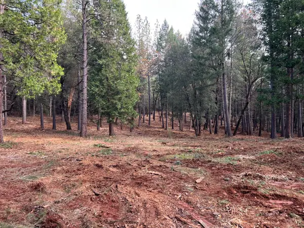 5861 Bear Creek Rd, Garden Valley, CA 95633