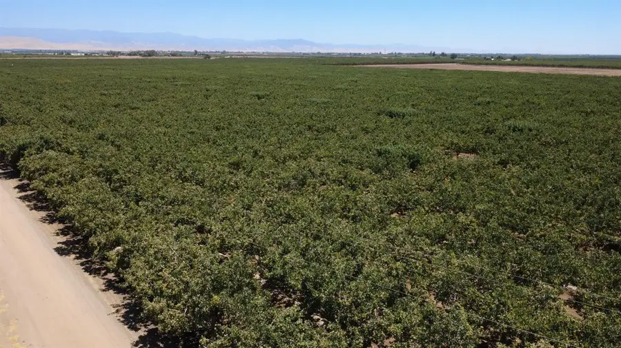 0 Ave 24 & Rd 208, Terra Bella, CA 93270 - Image #3