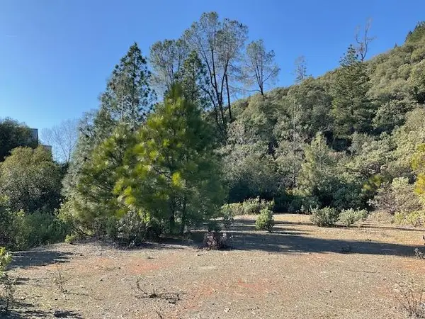 1445 Gallows, Murphys, CA 95223