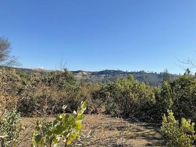 1445 Gallows, Murphys, CA 95223 - Image #2