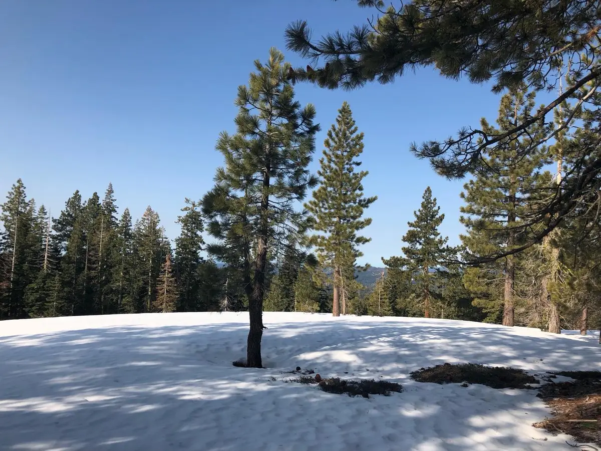 54 Liberty Road, Dorrington, CA 95223 - #1