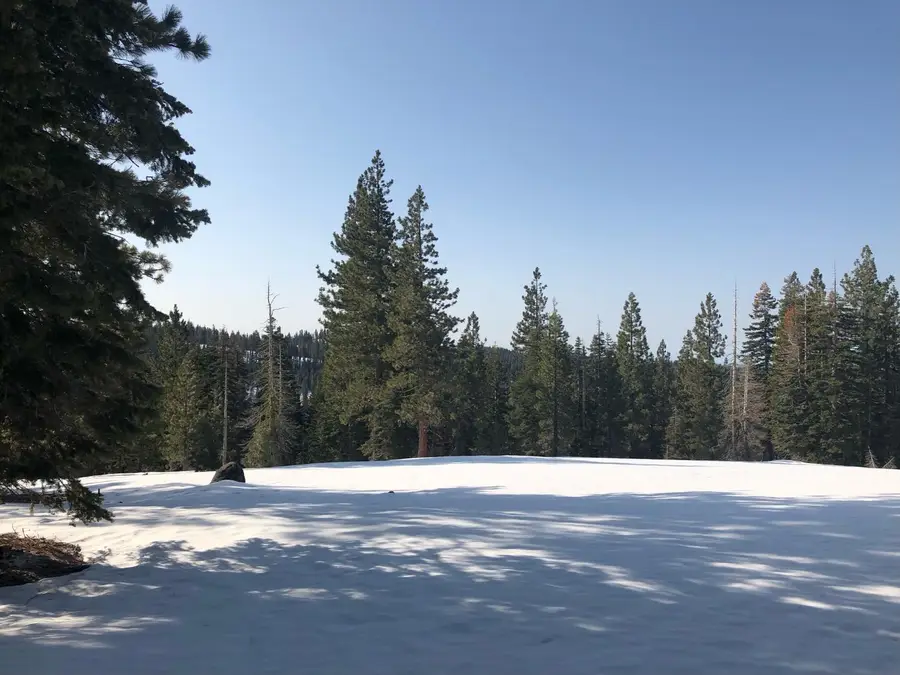 54 Liberty Road, Dorrington, CA 95223 - #2