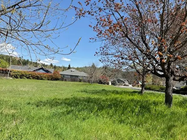 576 Quiet Place, Murphys, CA 95247 - Image #3