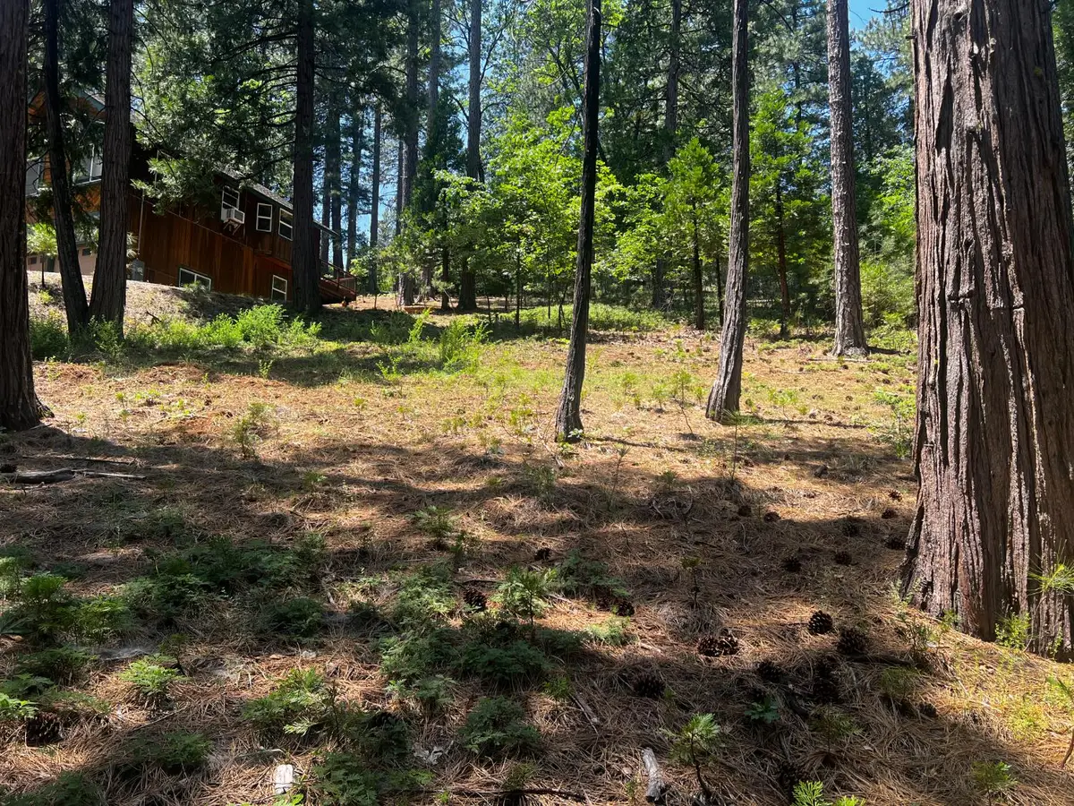 2904 Venado Drive, Arnold, CA 95223 - Image #1