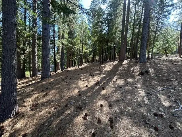 2179 Navajo, Arnold, CA 95223 - #3