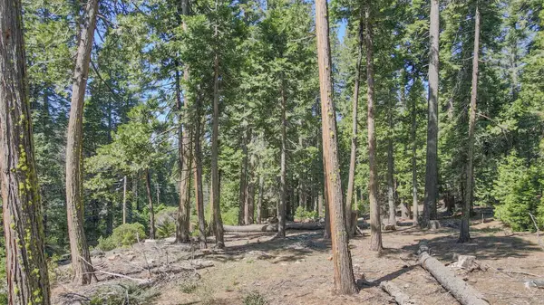 403 Sierra Parkway, Camp Connell, CA 95223