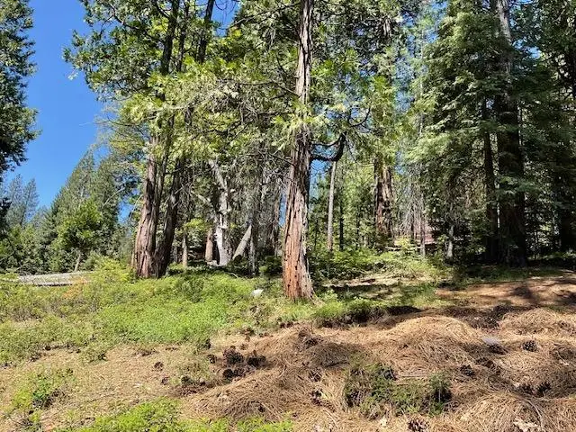 1474 Moran Road, Arnold, CA 95223 - #2