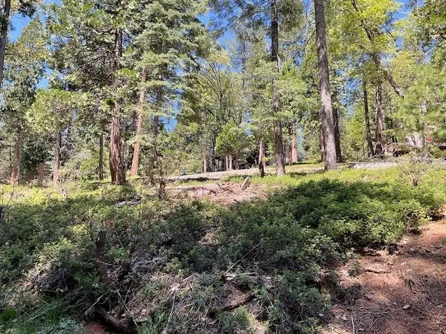 1474 Moran Road, Arnold, CA 95223 - #3