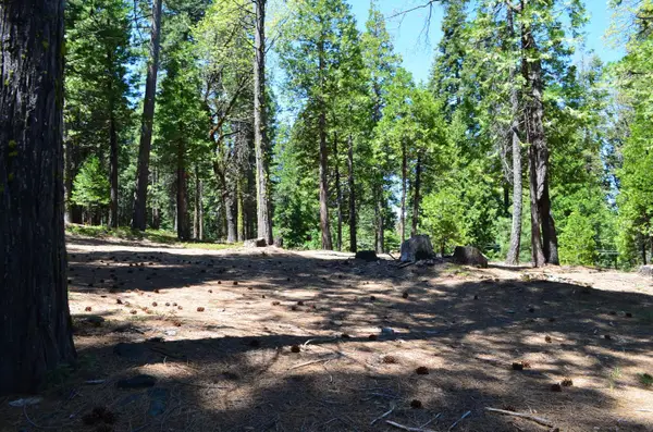 3112 Apache Road, Arnold, CA 95223