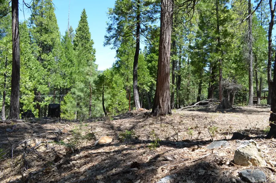 3112 Apache Road, Arnold, CA 95223 - #2