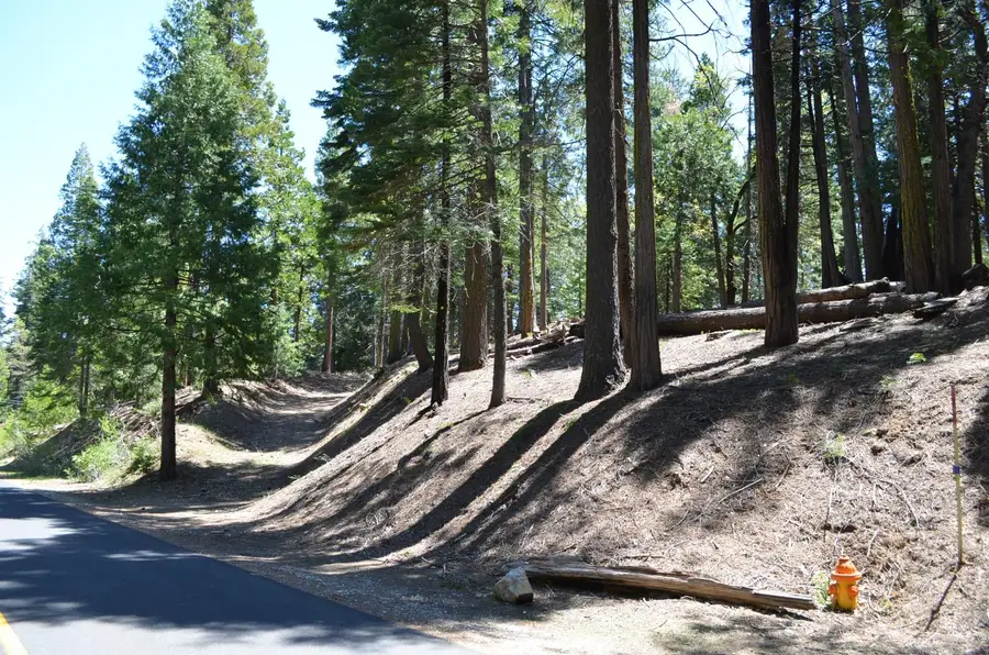 3112 Apache Road, Arnold, CA 95223 - #3