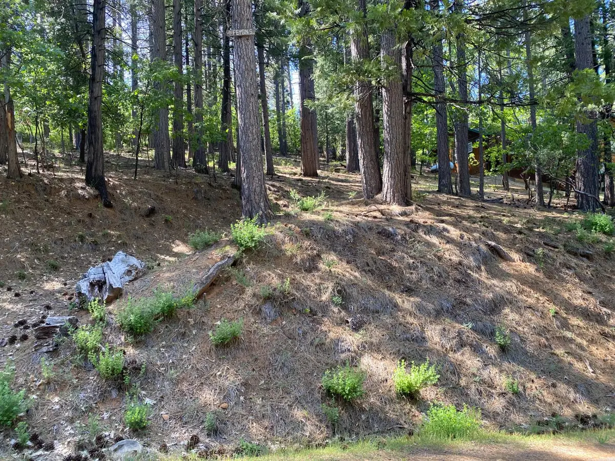 2946 Venado Drive, Arnold, CA 95223 - #1