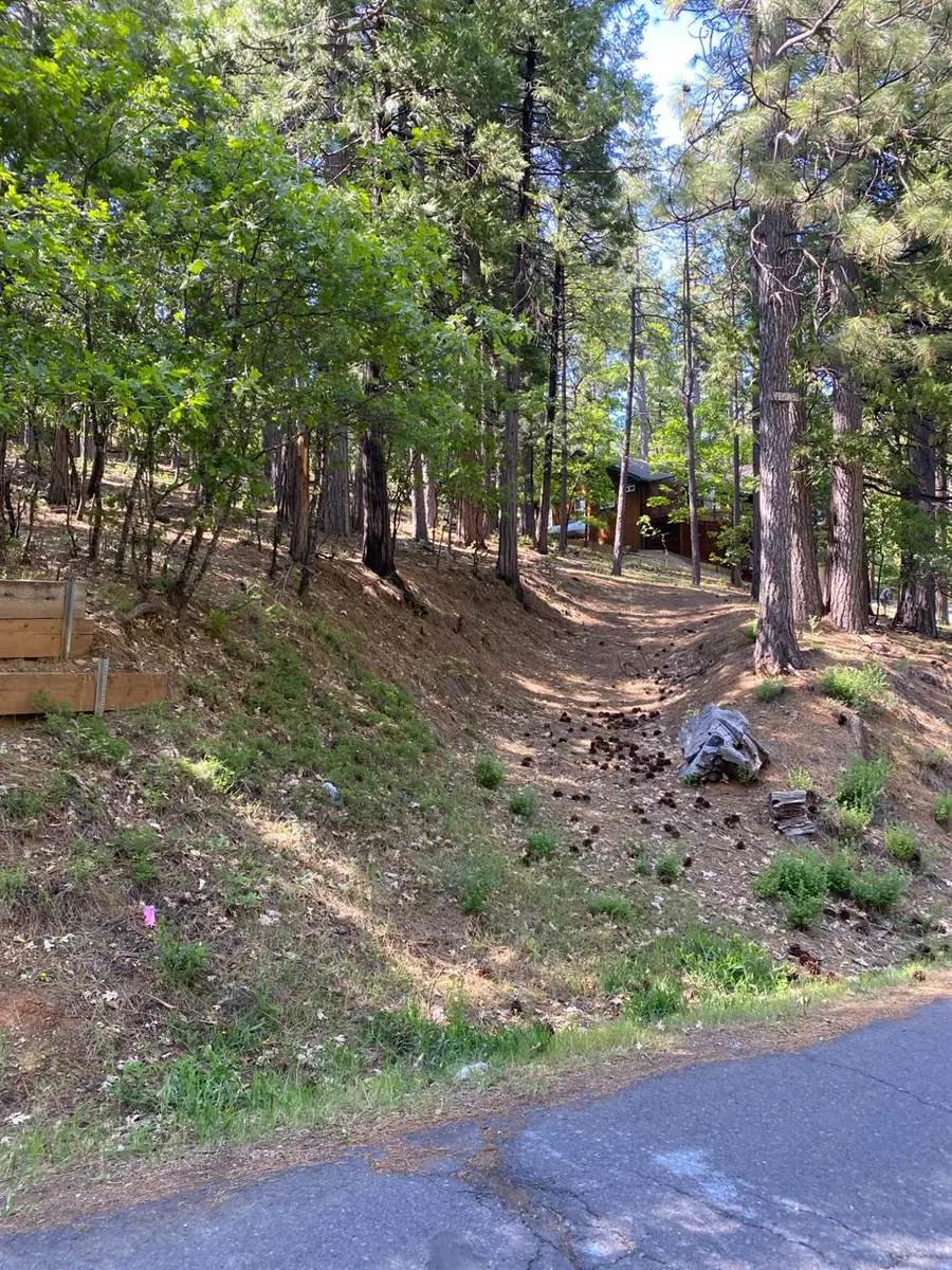 2946 Venado Drive, Arnold, CA 95223 - #2