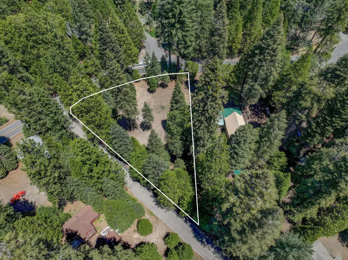 3380 El Camino Boot Strap, Dorrington, CA 95223 - #1