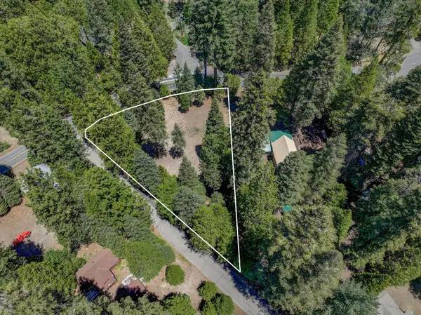 3380 El Camino Boot Strap, Dorrington, CA 95223