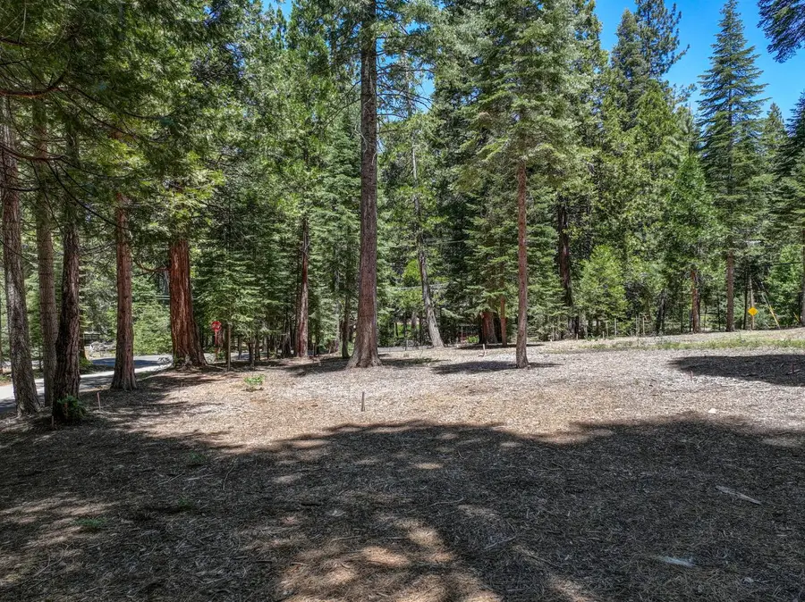 3380 El Camino Boot Strap, Dorrington, CA 95223 - #3