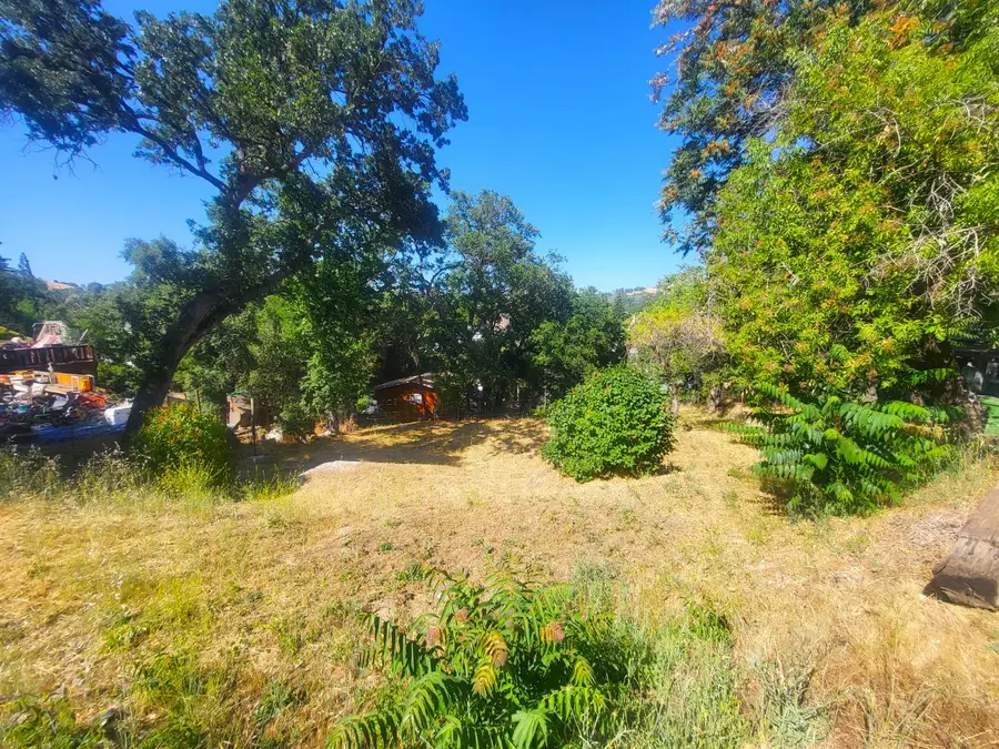 1350 Love Street, Angels Camp, CA 95222 - #2