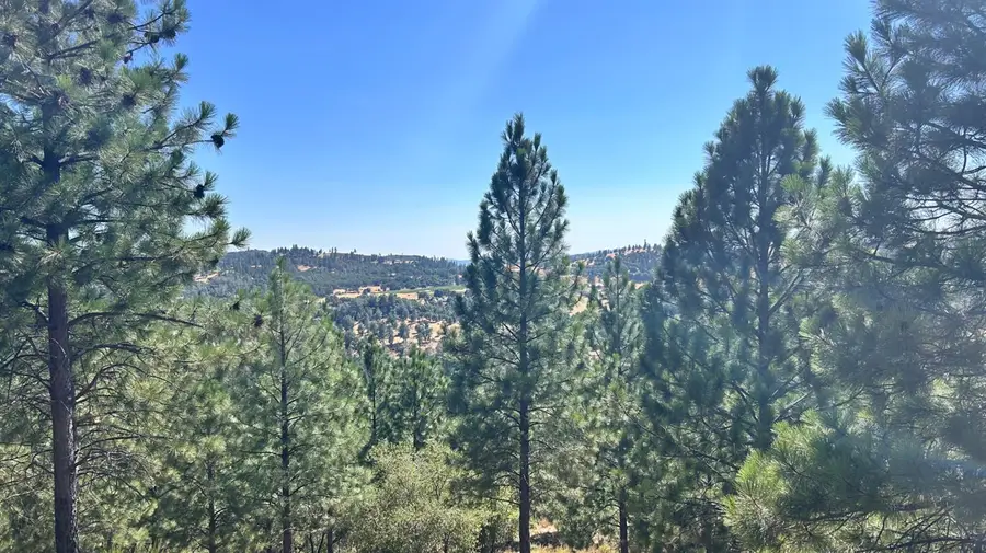 773 Red Fox Road, Mountain Ranch, CA 95246 - Image #2