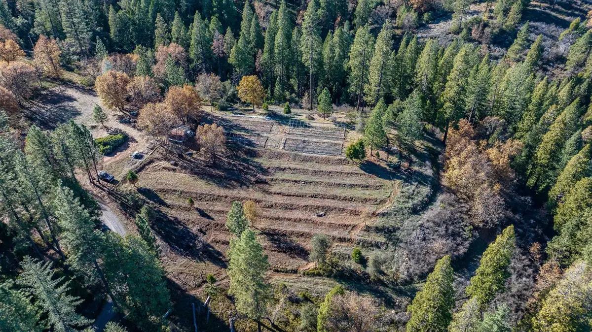 3035 Wharregard Road, Rail Road Flat, CA 95248 - #1