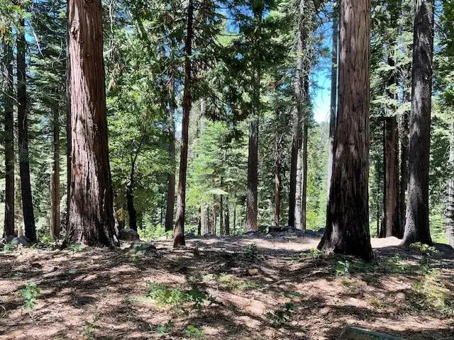 1619 Shoshone Drive, Arnold, CA 95223 - #1