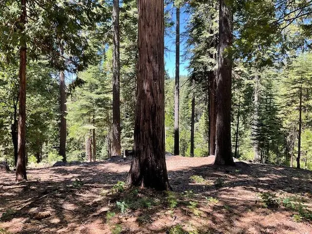 1619 Shoshone Drive, Arnold, CA 95223 - #2