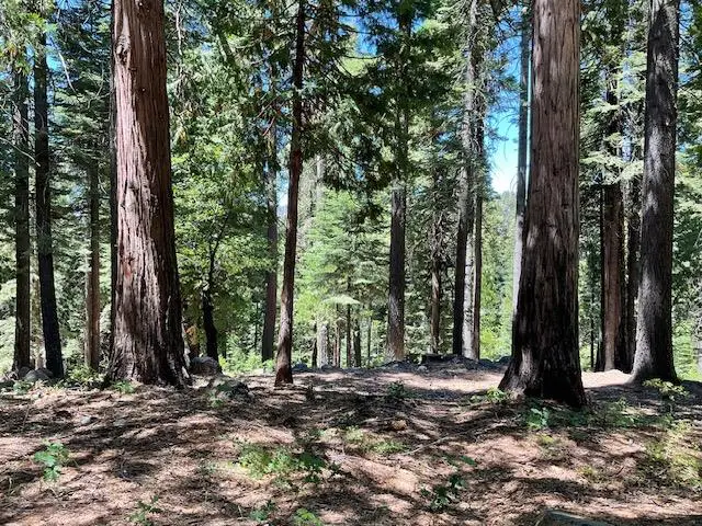 1619 Shoshone Drive, Arnold, CA 95223 - #3