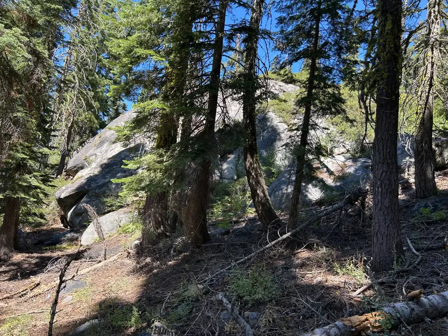 2 Blue Rock Trail, Oceanside, CA 95223 - Image #3