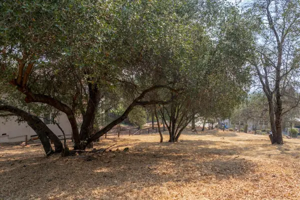 0 736 Live Oak, Angels Camp, CA 95222