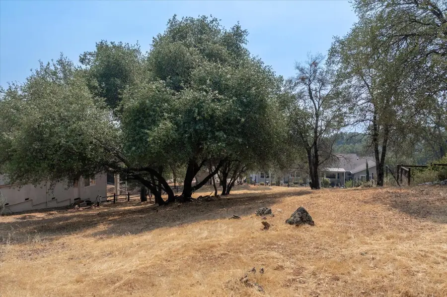 0 736 Live Oak, Angels Camp, CA 95222 - #3