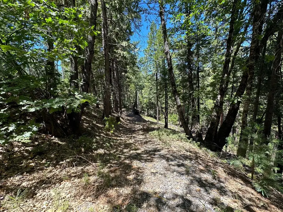 487 Canyon View Drive, Hathaway Pines, CA 95233 - #3