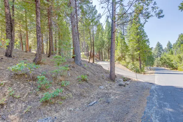 1694 Shoshone Drive, Camp Connell, CA 95223