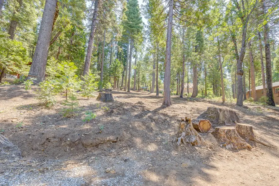 1694 Shoshone Drive, Camp Connell, CA 95223 - Image #3
