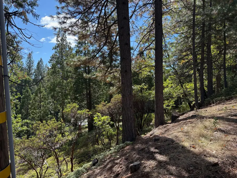 1984 Pine Cone Drive, Arnold, CA 95223 - #2