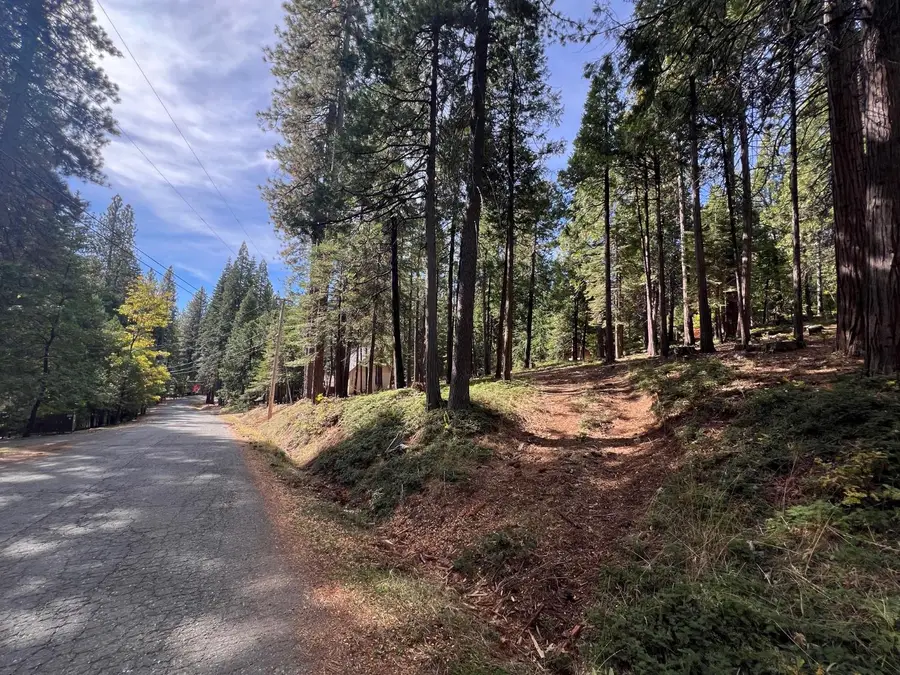 646 Dean Way, Arnold, CA 95223 - #2