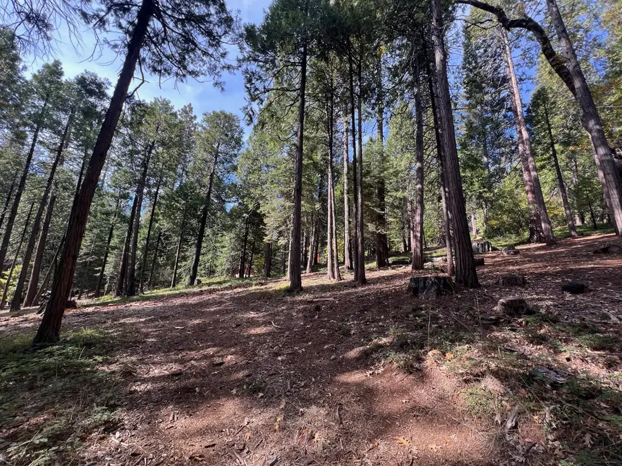 646 Dean Way, Arnold, CA 95223 - #3