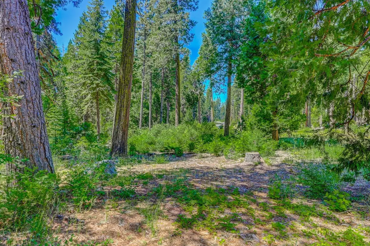 10 Timber Trail Court, Camp Connell, CA 95223 - Image #1