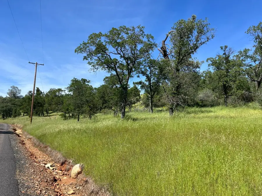 5037 Morgan Road, Angels Camp, CA 95222 - Image #3