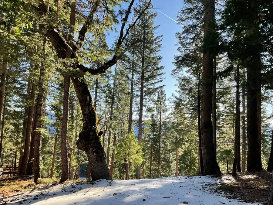 5186 Meko, Camp Connell, CA 95223 - Image #2