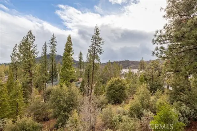 39818 Granite Ridge, Bass Lake, CA 93604 - #3