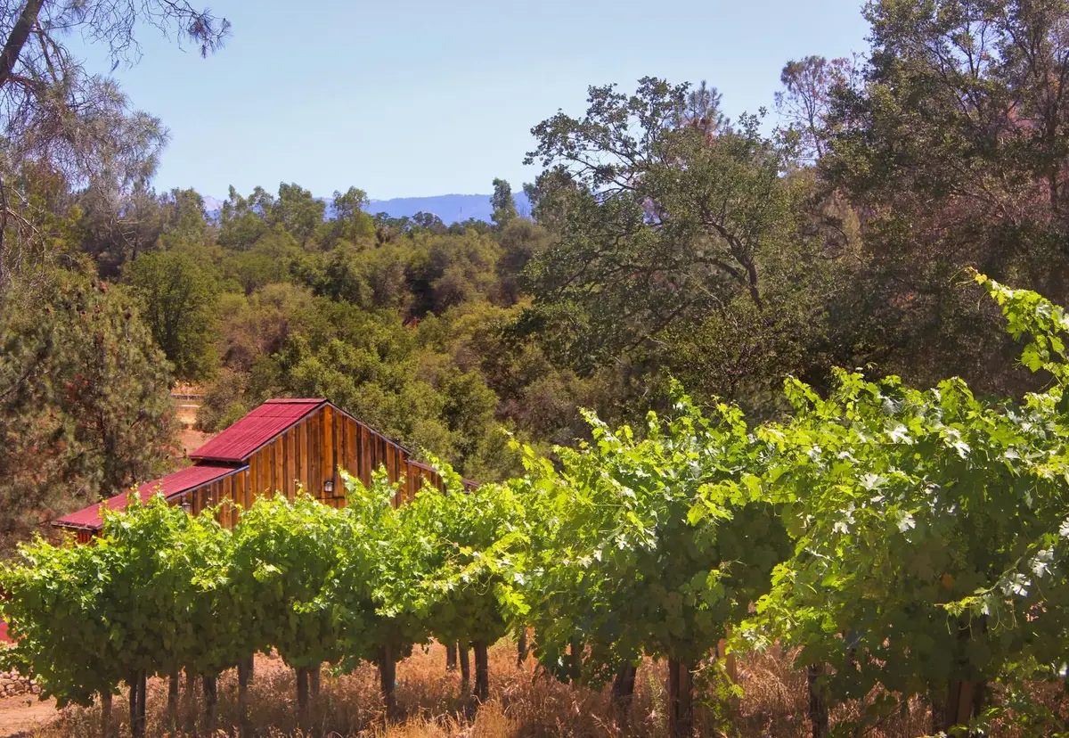 49610 House Ranch Road, O Neals, CA 93645 - #1