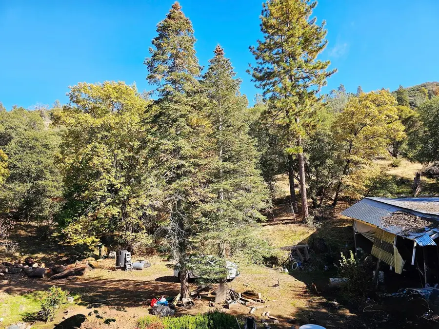 38088 Serpa Canyon Road, Coarsegold, CA 93614 - #3