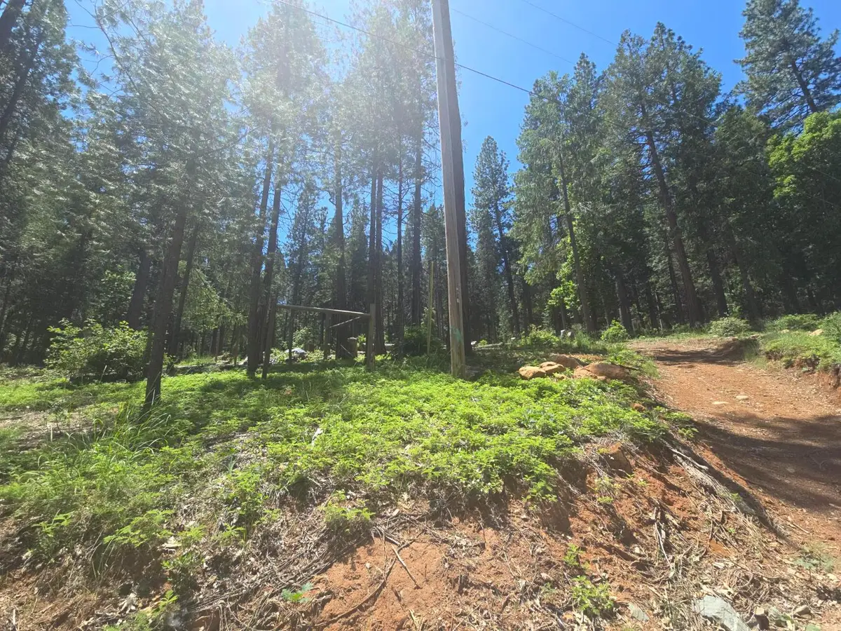 12181 Robust Way, Nevada City, CA 95959 - #1