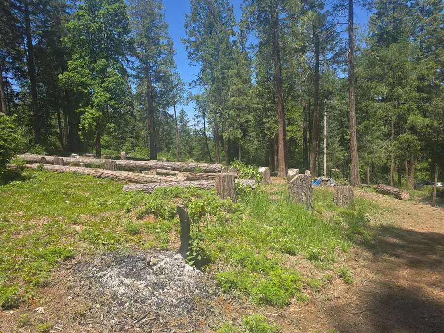 12181 Robust Way, Nevada City, CA 95959 - #2